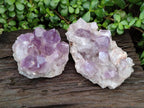 Natural Jacaranda Amethyst Crystal Clusters x 2 From Mumbwa, Zambia
