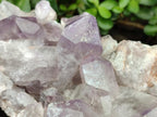 Natural Jacaranda Amethyst Crystal Clusters x 2 From Mumbwa, Zambia