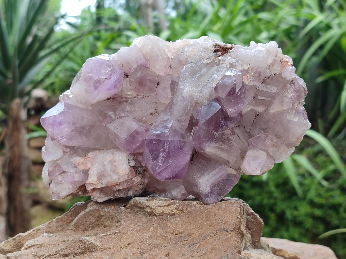 Natural Jacaranda Amethyst Crystal Clusters x 2 From Mumbwa, Zambia
