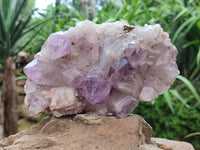 Natural Jacaranda Amethyst Crystal Clusters x 2 From Mumbwa, Zambia