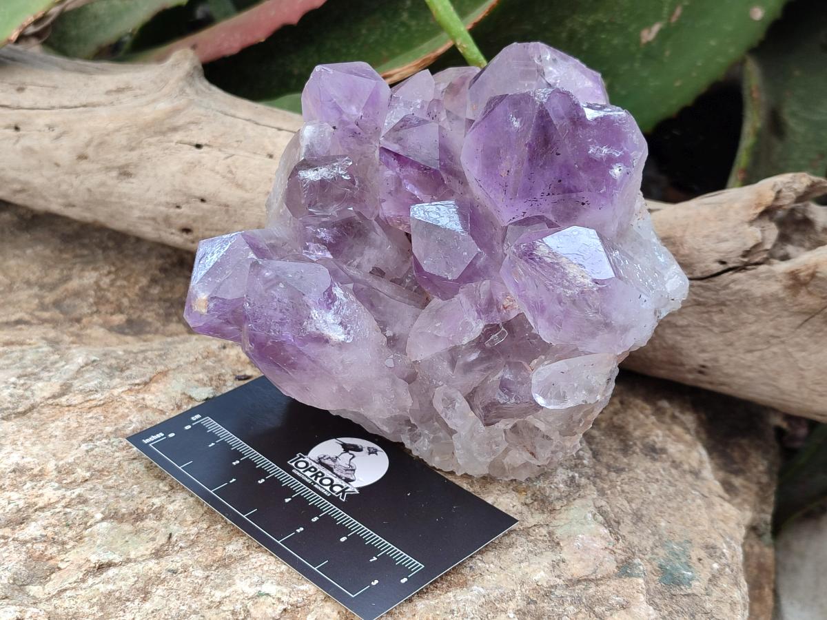 Natural Jacaranda Amethyst Crystal Clusters x 2 From Mumbwa, Zambia