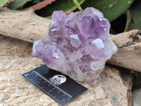 Natural Jacaranda Amethyst Crystal Clusters x 2 From Mumbwa, Zambia