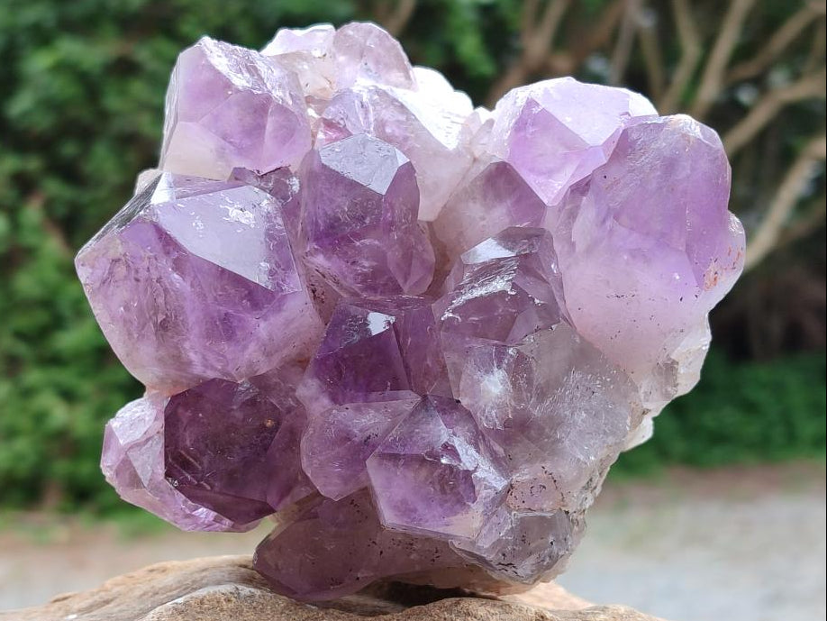 Natural Jacaranda Amethyst Crystal Clusters x 2 From Mumbwa, Zambia