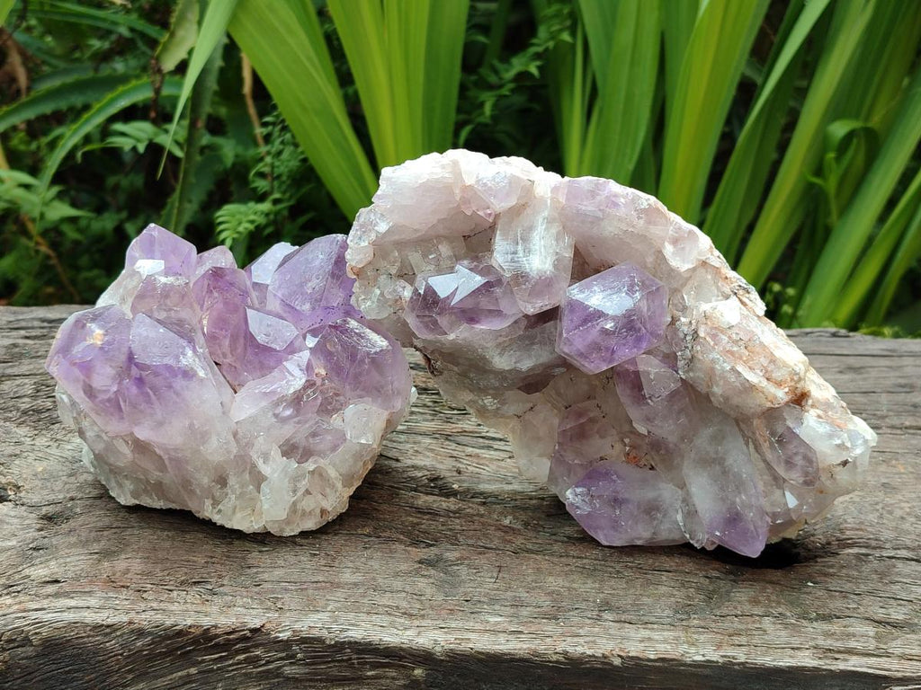 Natural Jacaranda Amethyst Crystal Clusters x 2 From Mumbwa, Zambia