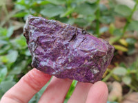 Natural Metallic Purpurite Specimens x 7 From Erongo, Namibia