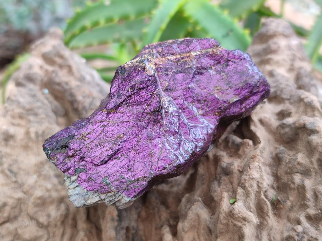 Natural Metallic Purpurite Specimens x 7 From Erongo, Namibia