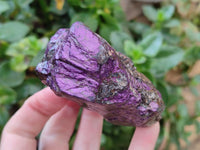 Natural Metallic Purpurite Specimens x 7 From Erongo, Namibia