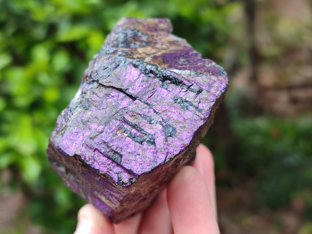 Natural Metallic Purpurite Specimens x 7 From Erongo, Namibia