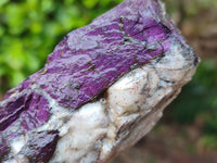 Natural Metallic Purpurite Specimens x 7 From Erongo, Namibia