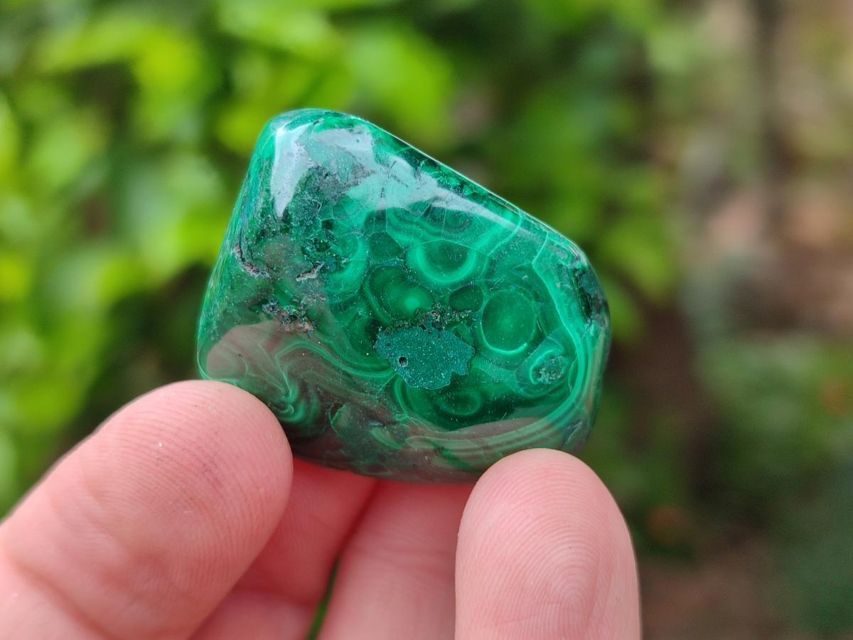 Polished Flower Banded Malachite Free Forms x 35 From Congo
