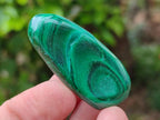 Polished Flower Banded Malachite Free Forms x 35 From Congo