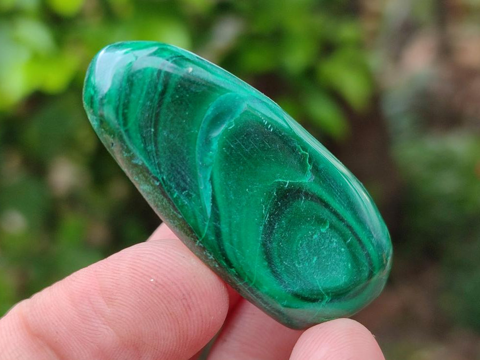 Polished Flower Banded Malachite Free Forms x 35 From Congo
