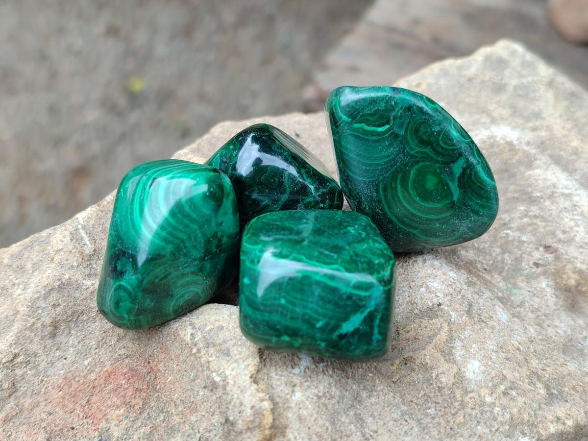 Polished Flower Banded Malachite Free Forms x 35 From Congo