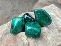 Polished Flower Banded Malachite Free Forms x 35 From Congo