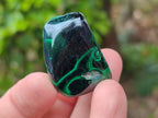 Polished Flower Banded Malachite Free Forms x 35 From Congo