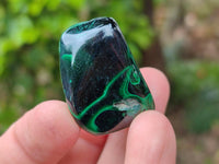 Polished Flower Banded Malachite Free Forms x 35 From Congo