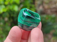 Polished Flower Banded Malachite Free Forms x 35 From Congo