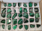 Polished Flower Banded Malachite Free Forms x 35 From Congo