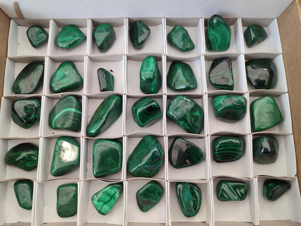 Polished Flower Banded Malachite Free Forms x 35 From Congo
