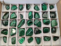 Polished Flower Banded Malachite Free Forms x 35 From Congo