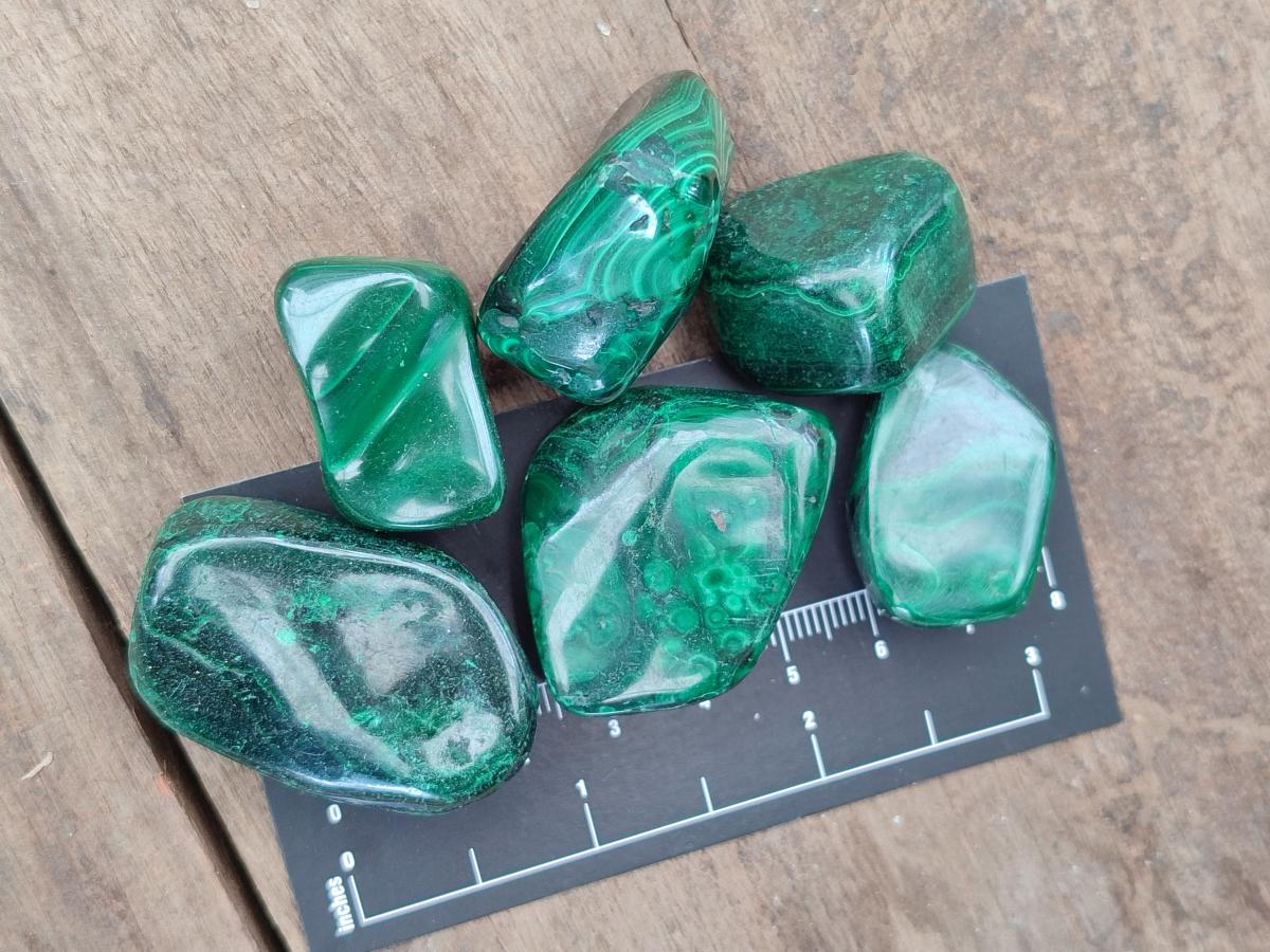 Polished Flower Banded Malachite Free Forms x 35 From Congo