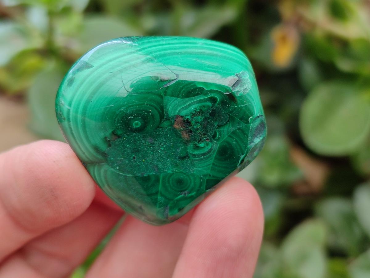Polished Flower Banded Malachite Free Forms x 35 From Congo