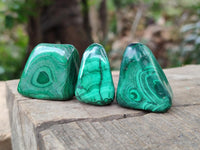 Polished Flower Banded Malachite Free Forms x 35 From Congo