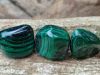 Polished Flower Banded Malachite Free Forms x 35 From Congo