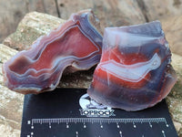 Polished On One Side Red Shashe River Agate Nodules x 24 From Shashe River, Zimbabwe