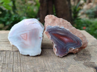 Polished On One Side Red Shashe River Agate Nodules x 24 From Shashe River, Zimbabwe