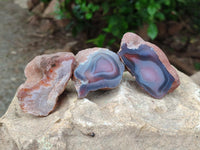 Polished On One Side Red Shashe River Agate Nodules x 24 From Shashe River, Zimbabwe