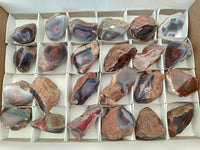 Polished On One Side Red Shashe River Agate Nodules x 24 From Shashe River, Zimbabwe