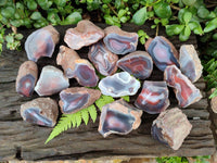 Polished On One Side Red Shashe River Agate Nodules x 24 From Shashe River, Zimbabwe