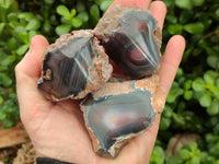 Polished On One Side Red Shashe River Agate Nodules x 24 From Shashe River, Zimbabwe