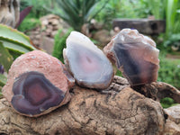 Polished On One Side Red Shashe River Agate Nodules x 24 From Shashe River, Zimbabwe
