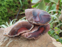 Polished On One Side Red Shashe River Agate Nodules x 24 From Shashe River, Zimbabwe