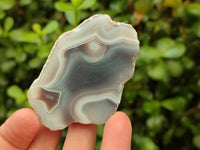 Polished On One Side Red Shashe River Agate Nodules x 24 From Shashe River, Zimbabwe