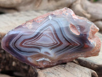 Polished On One Side Red Shashe River Agate Nodules x 24 From Shashe River, Zimbabwe