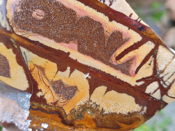 Polished On One Side Nguni Jasper Slices x 3 From Northern Cape, South Africa