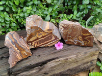 Polished On One Side Nguni Jasper Slices x 3 From Northern Cape, South Africa