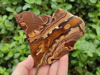Polished On One Side Nguni Jasper Slices x 3 From Northern Cape, South Africa