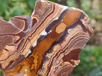 Polished On One Side Nguni Jasper Slices x 3 From Northern Cape, South Africa