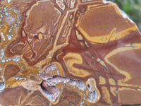 Polished On One Side Nguni Jasper Slices x 3 From Northern Cape, South Africa