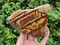 Polished On One Side Nguni Jasper Slices x 3 From Northern Cape, South Africa