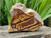 Polished On One Side Nguni Jasper Slices x 3 From Northern Cape, South Africa