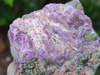 Natural Stichtite Cobbed Specimens x 4 From Barberton, South Africa