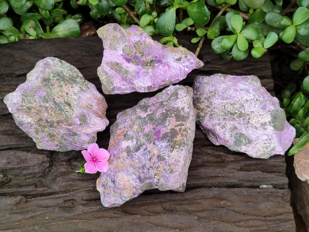 Natural Stichtite Cobbed Specimens x 4 From Barberton, South Africa