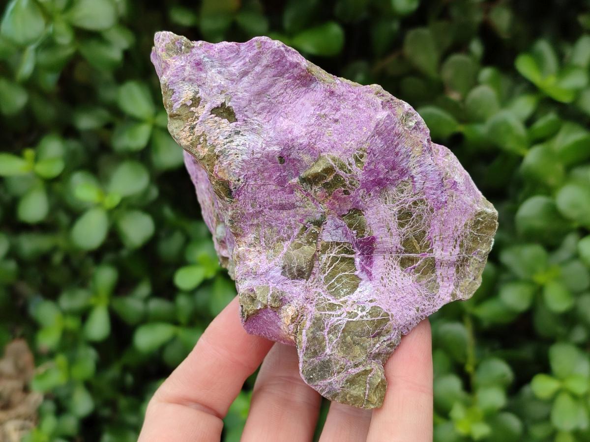 Natural Stichtite Cobbed Specimens x 4 From Barberton, South Africa