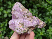 Natural Stichtite Cobbed Specimens x 4 From Barberton, South Africa