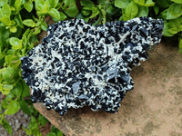 Natural Schorl Black Tourmaline Plate with Feldspar x 1 From Erongo, Namibia